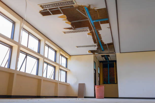 Best Ceiling water damage repair  in Moorefield, WV