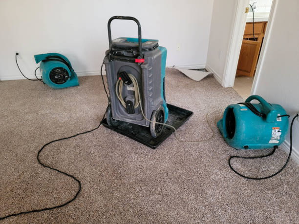 Best Sewage cleanup and water damage restoration  in Moorefield, WV