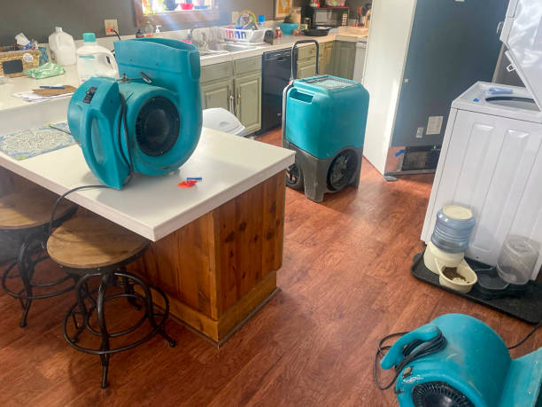 Best Local water damage restoration  in Moorefield, WV