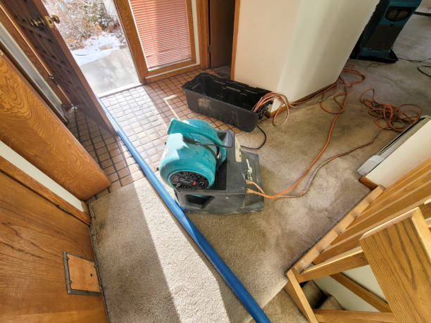 Best Flood restoration services  in Moorefield, WV
