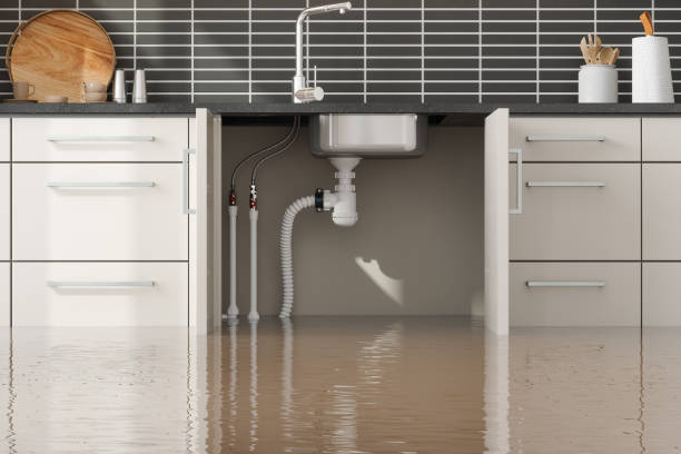 Best Professional water damage repair  in Moorefield, WV