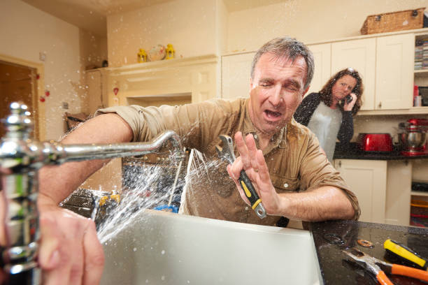 Best Water damage contractors near me  in Moorefield, WV